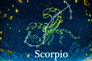 Tử vi cung bọ cạp năm 2025