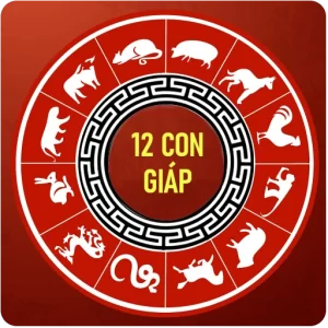 12 CON GIÁP