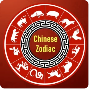 Chinese Zodiac